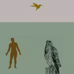 LOW_30_canvas_dbd5d1_White_sand-navy-UPP_70_canvas_739072_Shale_green-satin-weave-sepia060-manLookingUp-sepia050-hoveringBird-Monoplano_Antoinette-falconDrawing.avif